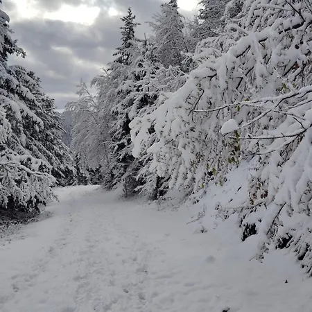 Et Table D'hotes La Grande Ourse *