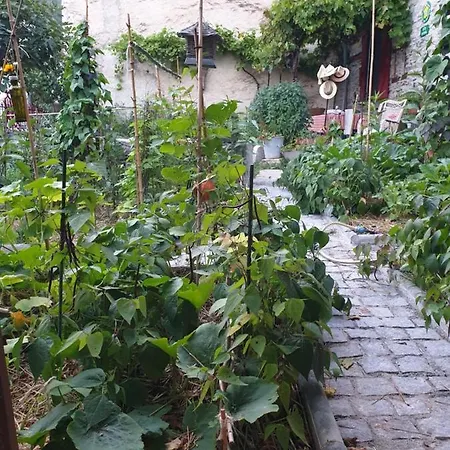 Bed & Breakfast Et Table D'hotes La Grande Ourse