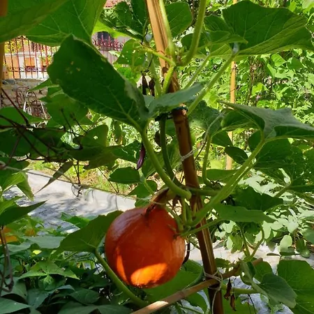 Et Table D'hotes La Grande Ourse